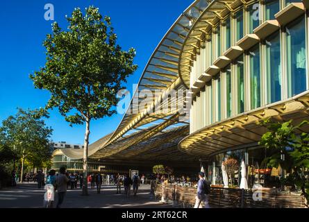 FRANKREICH. PARIS (75) 1. BEZIRK. DAS FORUM DES HALLES, IM HERZEN VON PARIS. DER NELSON MANDELA GARTEN UND SEIN WASSERGARTEN VOR DEM BALDACHIN (ARCHITEKT Stockfoto