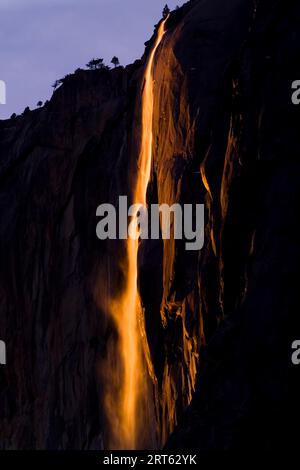 Der Schachtelhalm-Fall im Yosemite-Nationalpark in Kalifornien ist ein saisonaler Wasserfall, der im Winter und im frühen Frühjahr fließt. Der Fall findet auf der Ostseite von El Capitan statt. Stockfoto