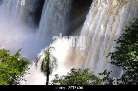 Argentinien, beliebtes Reiseziel des Iguazu National Waterfall Park landschaftlich reizvolle Landschaften. Stockfoto