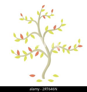 Minimalistischer flacher Herbstbaum mit gelben und roten Blättern auf weißem Hintergrund. Bio-Wald-Konzept. Einfache Vektor-Illustration. Stock Vektor