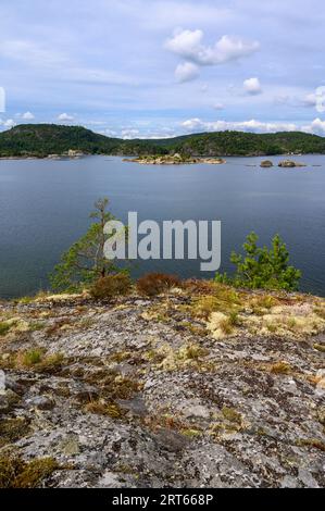 Blick von der Buholmen-Insel über das Meer und die Skirennen nach Gumoy im Kragero-Archipel, Telemark Norwegen. Stockfoto