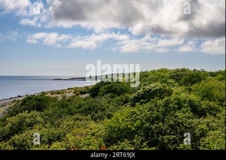 Blick vom Vogelbeobachtungsturm nach Süden über die bewaldete Landschaft und felsige Küste auf der Insel Jomfruland, Telemark, Norwegen. Stockfoto