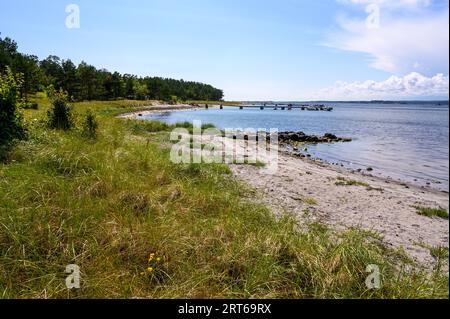 Das Innere der langen und schmalen Insel Jomfruland im Kragero-Archipel hat Sandstrände. Telemark County, Norwegen. Stockfoto