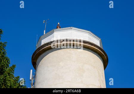 Ein Mädchen macht Fotos von der Spitze des alten, stillgelegten Leuchtturms, der in einer Waldwiese auf der schmalen Insel Jomfruland, Telemark, Norwegen, liegt. Stockfoto