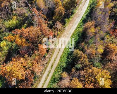 Blick aus der Vogelperspektive auf den Herbstwald mit Straße Stockfoto