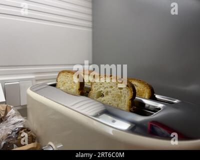 Vier Brotscheiben, die in einem Toaster sauber angeordnet sind und von der Seite aus aufgenommen werden. Stockfoto
