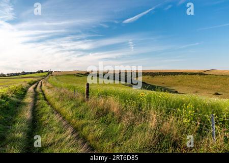 Ein Weg entlang des Ackerlandes in den South Downs, an einem sonnigen späten Nachmittag im September Stockfoto