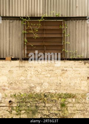 Ein verlassenes und verlassenes Fabrikgebäude in Shropshire. Stockfoto