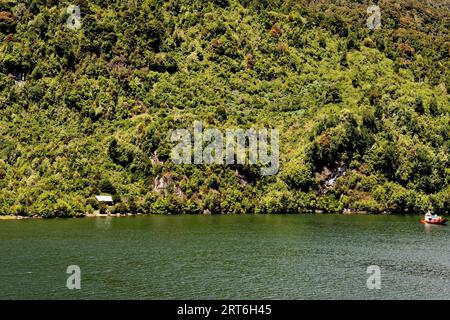 Landschaft chilenischer Fjorde im Aysen-Fjord in der Nähe von Puerto Chacabuco, Patagonien, Chile, Südamerika Stockfoto