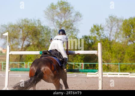 Die Unobediance des Pferdes im Springsport Stockfoto