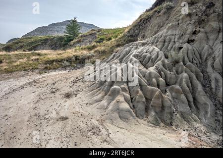 Bodenerosion am Horseshoe Canyon bei Drumheller, Alberta, Kanada Stockfoto
