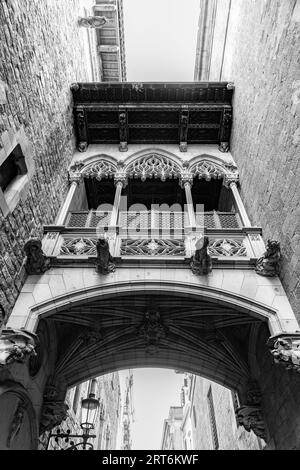 Das gotische Viertel von Barcelona, El Pont del Bisbe, wurde 1929 für die Internationale Ausstellung von Barcelona in Katalonien, Spanien, erbaut. Stockfoto