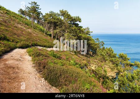 Bild eines Landstrichs an der Atlantikküste in der Nähe von Roscanvel, Crozon, Bretagne, Frankreich Stockfoto