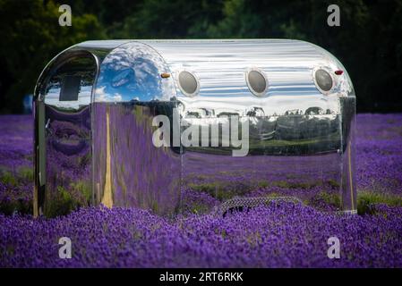 Ein klassischer Airstream-Anhänger steht auf einem Feld aus violettem Lavendel mit einem wunderschönen blauen Himmel im Hintergrund Stockfoto