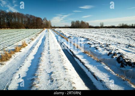 Schneebedeckte unbefestigte Straße durch die Felder, sonniger Blick auf die Landschaft im Winter Stockfoto