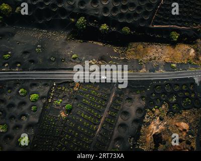 Weißes Auto auf der Straße in Weingütern auf Lanzarote (La geria Region) von oben mit Drohne. Gerade Straße zwischen den Lavas und Weinfeldern an den Seiten in Stockfoto