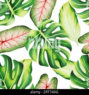 Nahtloses Aquarellmuster mit realistischen tropischen Blättern. Illustration von Monstera, Caladium, Ficus-Blättern isoliert auf weißem Hintergrund. Wunderschönes bo Stockfoto