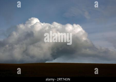 Eine große Wolke am frühen Morgen am blauen Himmel. Stockfoto
