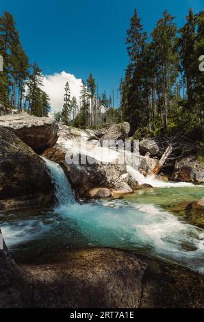 Wasserfälle von kaltem Bach im Nationalpark der Hohen Tatra. Bergfluss mit kristallklarem Wasser an einem wunderschönen sonnigen Tag. Stockfoto