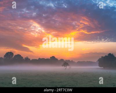 Himmel auf Feuer Nebelsonnenaufgang im Phoenix Park an einem warmen Septembermorgen Stockfoto