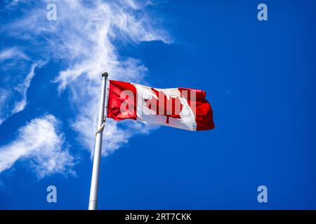 Die Flagge Kanadas, die im Queen Elizabeth Park, Vancouver BC, Kanada fliegt. Die Flagge wurde am 15. Februar 1965 offiziell eingeweiht. Stockfoto