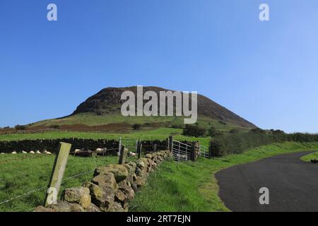 Slemish Mountain am Spätsommertag vor dem Hintergrund des blauen Himmels von der Straße aus gesehen. County Antrim, N. Irland Stockfoto