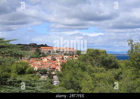 Collioure, eine mediterrane Küstenstadt in Südfrankreich, die von einer Vegetationslücke aus betrachtet wird Stockfoto