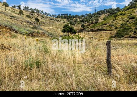 Die Chronik Georgiens ist ein Monument, das von weitem auf dem Berg Kenisi in der Nähe von Tiflis, der Hauptstadt Georgiens, zu sehen ist. Sie wurde 1985 vom Bildhauer Zurab Tsereteli geschaffen Stockfoto