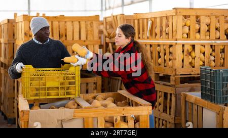 Mann und Frau Bauern reden während des Stapels von Kürbissen Stockfoto