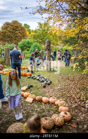 Prag, Tschechische Republik - 16. Oktober 2022: Kürbisausstellung und andere Herbstszenen im Botanischen Garten von Prag, Tschechische Republik Stockfoto