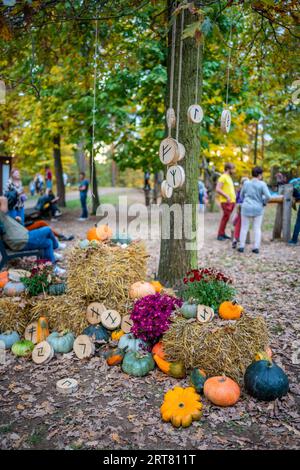 Prag, Tschechische Republik - 16. Oktober 2022: Kürbisausstellung und andere Herbstszenen im Botanischen Garten von Prag, Tschechische Republik Stockfoto