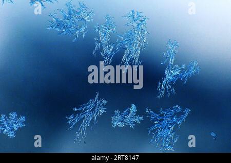 Wunderschöne Naturaufnahmen, natürliche Tapeten, „Stammes“-Eisformationen auf einer Glasplatte, die durch die raue Winterkälte entstanden ist Stockfoto