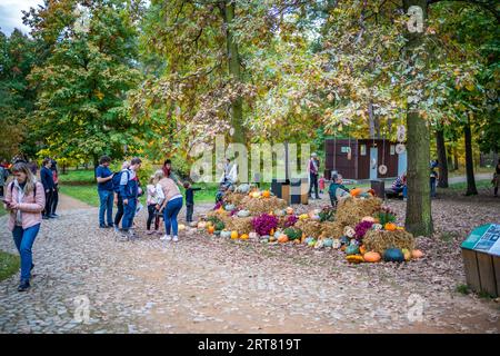 Prag, Tschechische Republik - 16. Oktober 2022: Kürbisausstellung und andere Herbstszenen im Botanischen Garten von Prag, Tschechische Republik Stockfoto