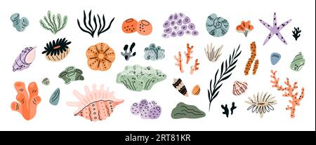 Comic-Muscheln. Algen und Korallen. Ozeanische dekorative Elemente. Unterwasserpflanzen. Meeresmineralformationen. Muschelschalen. Jakobsmuschel und Stock Vektor