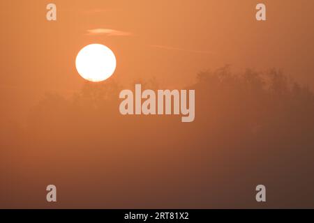 Herbstsonnenaufgang über Bäumen im Nebel Stockfoto