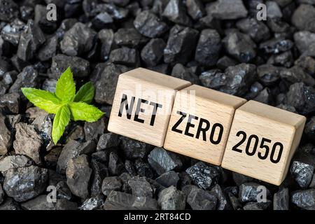Nettolohnstoff 2050, Klimaziele, CO2-Eliminierung, saubere Umwelt, CO2-frei, Text netto Null 2050 auf Holzblöcken auf Kohlehaufen, grüne Pflanze g Stockfoto
