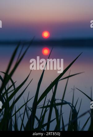 Wunderschöner Sonnenuntergang am See. Reflexion der untergehenden roten Sonne im See. Vertikale Aufnahme. Hochwertige Fotos Stockfoto