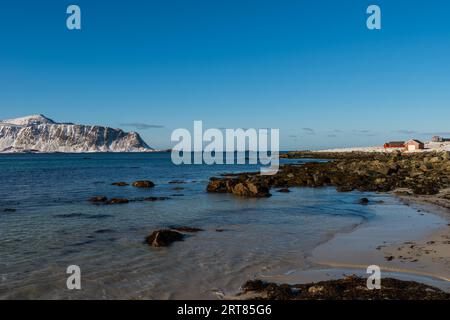 Der berühmte tropisch aussehende Sandstrand in der Nähe von Ramberg am Lofoten Inseln in Norwegen an klaren Wintertag mit schneebedeckten Berge und blauer Himmel Stockfoto