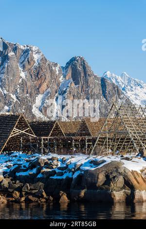 Riesige leere Holzregale zum Aufhängen und Trocknen von Kabeljau Stockfisch auf den Lofoten-Inseln in Norwegen auf klar machen Wintertag mit blauem Himmel Stockfoto