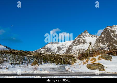 Leere Holzregale zum Aufhängen und Trocknen von Kabeljau zur Herstellung von Stockfischen auf den Lofoten-Inseln in der Nähe der Stadt A in Norwegen mit schneebedeckten Bergen Stockfoto