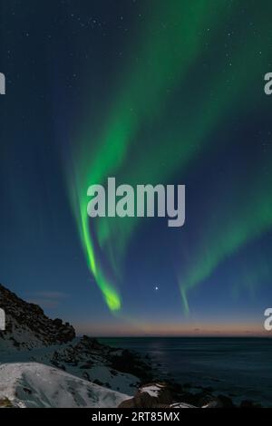 Spektakuläre, tanzende grüne, kräftige Nordlichter über dem berühmten runden Felsstrand in der Nähe von Uttakleiv auf den Lofoten-Inseln in Norwegen im klaren Winter Stockfoto