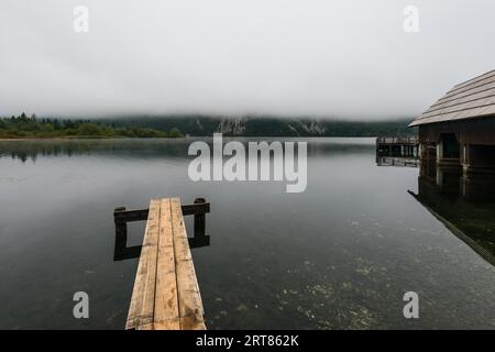 Holzsteg im schönen Bohinjer See im Triglav Nationalpark in Slowenien an nebligen Morgen im Herbst Stockfoto