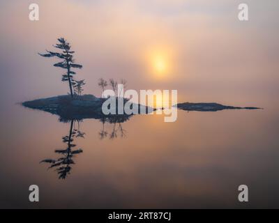 Insel und ihre Reflexion in Foggy Bunte Sunrise in Topsham Maine friedlich Stockfoto