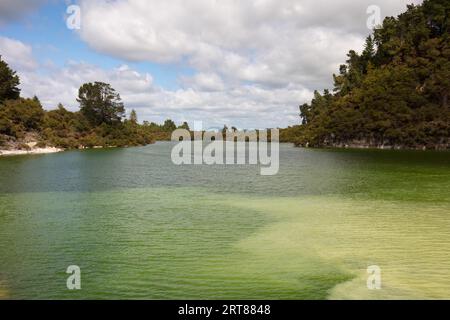 Lake Ngakoro und Wasserfall im Wai-O-Tapu Geothermal Wonderland in der Nähe von Rotorua in Neuseeland Stockfoto