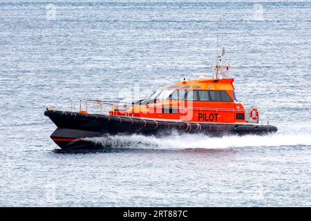 Ein ikonisches Port Philip Pilot Boot bringt große Schiffe durch den „Rip“ an den Köpfen der Port Philip Bay zwischen Point Nepean und Bellarine Stockfoto