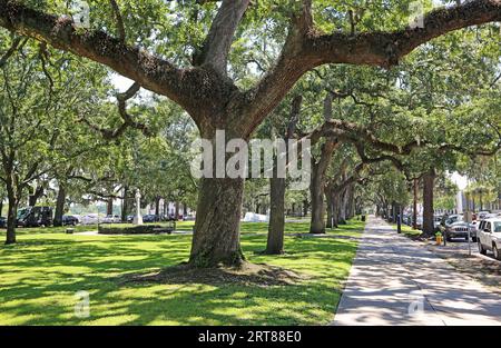 Gasse in Emmet Park, Savannah, Georgia Stockfoto