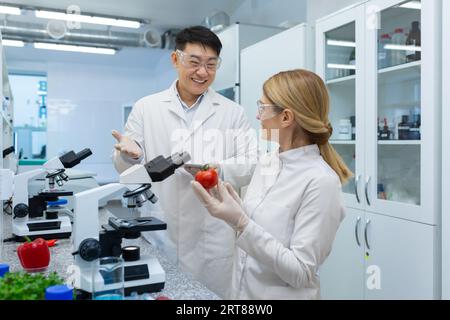 Junge Wissenschaftler und Wissenschaftler, Kollegen asiatische Männer und Frauen arbeiten im Labor unter Mikroskopen, studieren und forschen Lebensmittel. Sie lächeln und diskutieren die Ergebnisse. Stockfoto