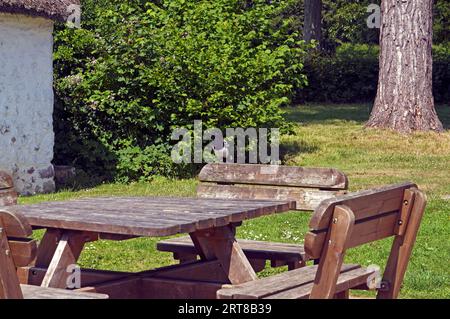 Magpie an einem Picknicktisch, St Fagans National Museum of History, Cardiff Stockfoto