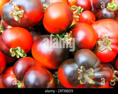 Erbstücke Tomaten - Nahaufnahme Stockfoto