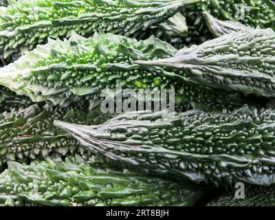 Indisches Bittermelon - Nahaufnahme Stockfoto